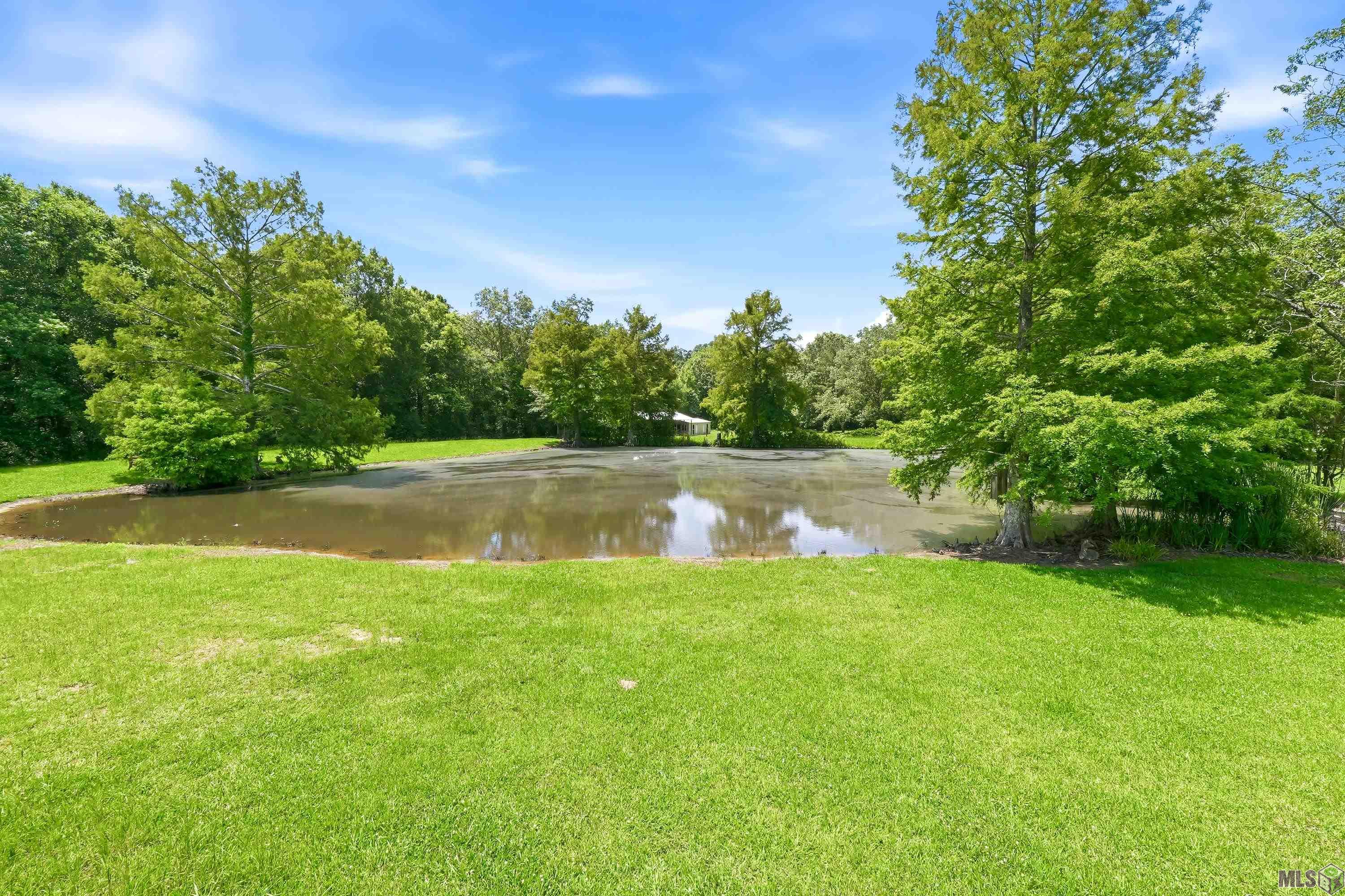 3374 Greenbriar Road Ethel, LA 70730 - Photo 40 of 43