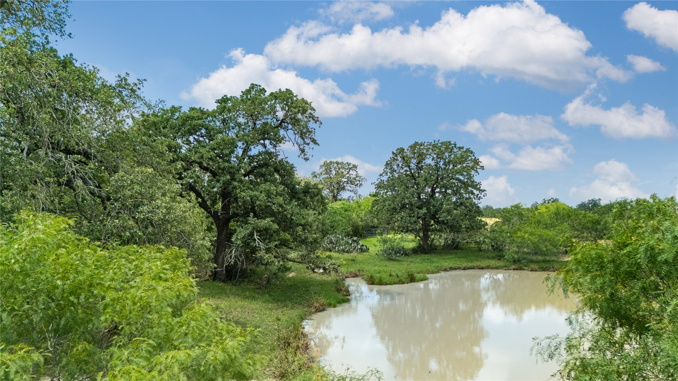 2612 Roosevelt Road Kingsbury, TX 78638 - Photo 1 of 31 Natural water feature surrounded by mature trees and varied foliage