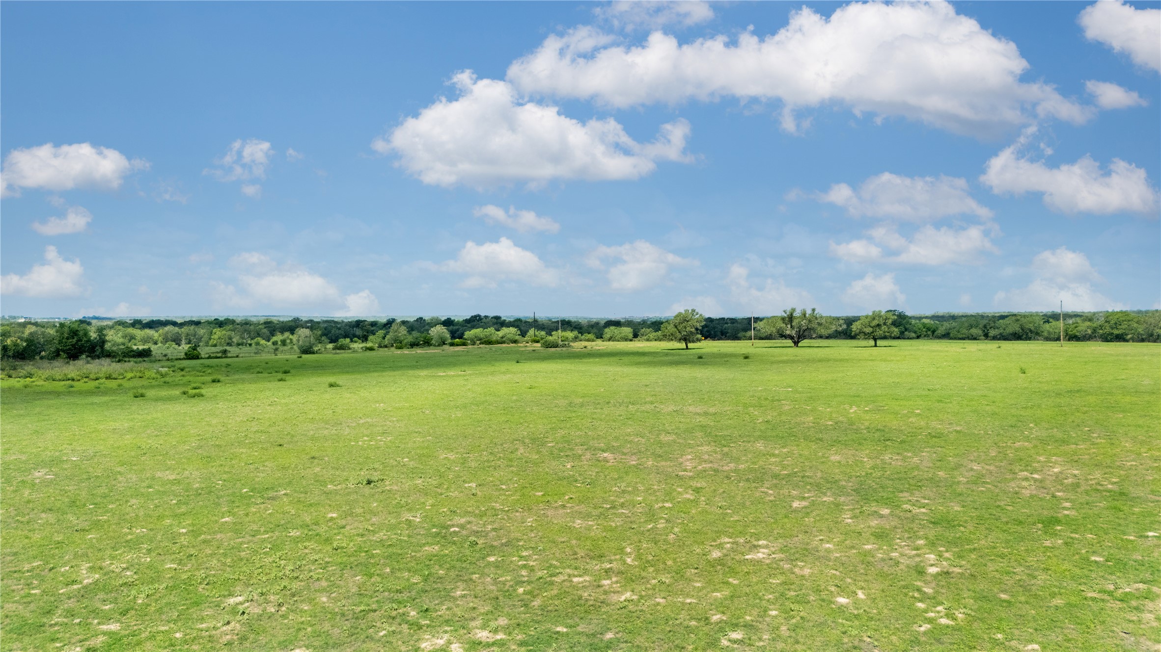 2612 Roosevelt Road Kingsbury, TX 78638 - Photo 11 of 31 Expansive green landscape featuring scattered mature trees and a distant tree line
