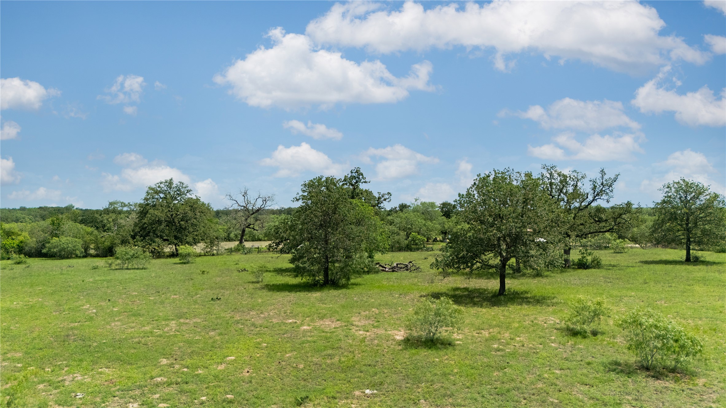 2612 Roosevelt Road Kingsbury, TX 78638 - Photo 14 of 31 Expansive land parcel featuring open grassy areas and mature trees under a clear sky