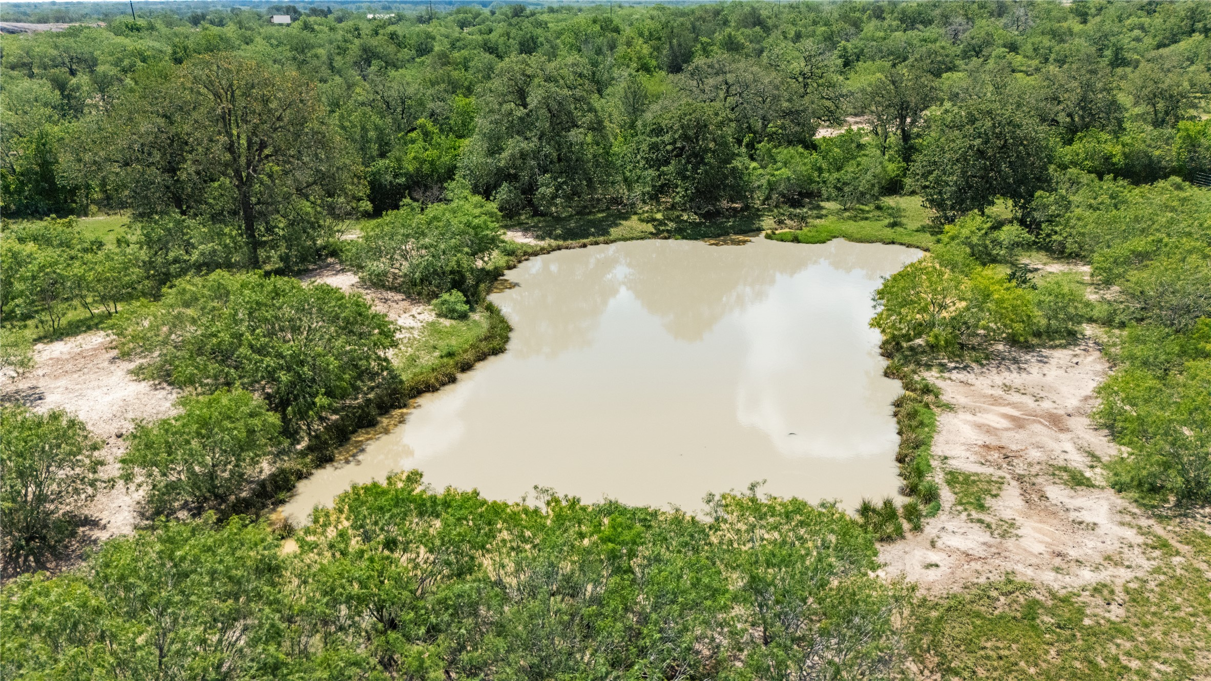 2612 Roosevelt Road Kingsbury, TX 78638 - Photo 17 of 31 Natural pond feature surrounded by dense, mature trees