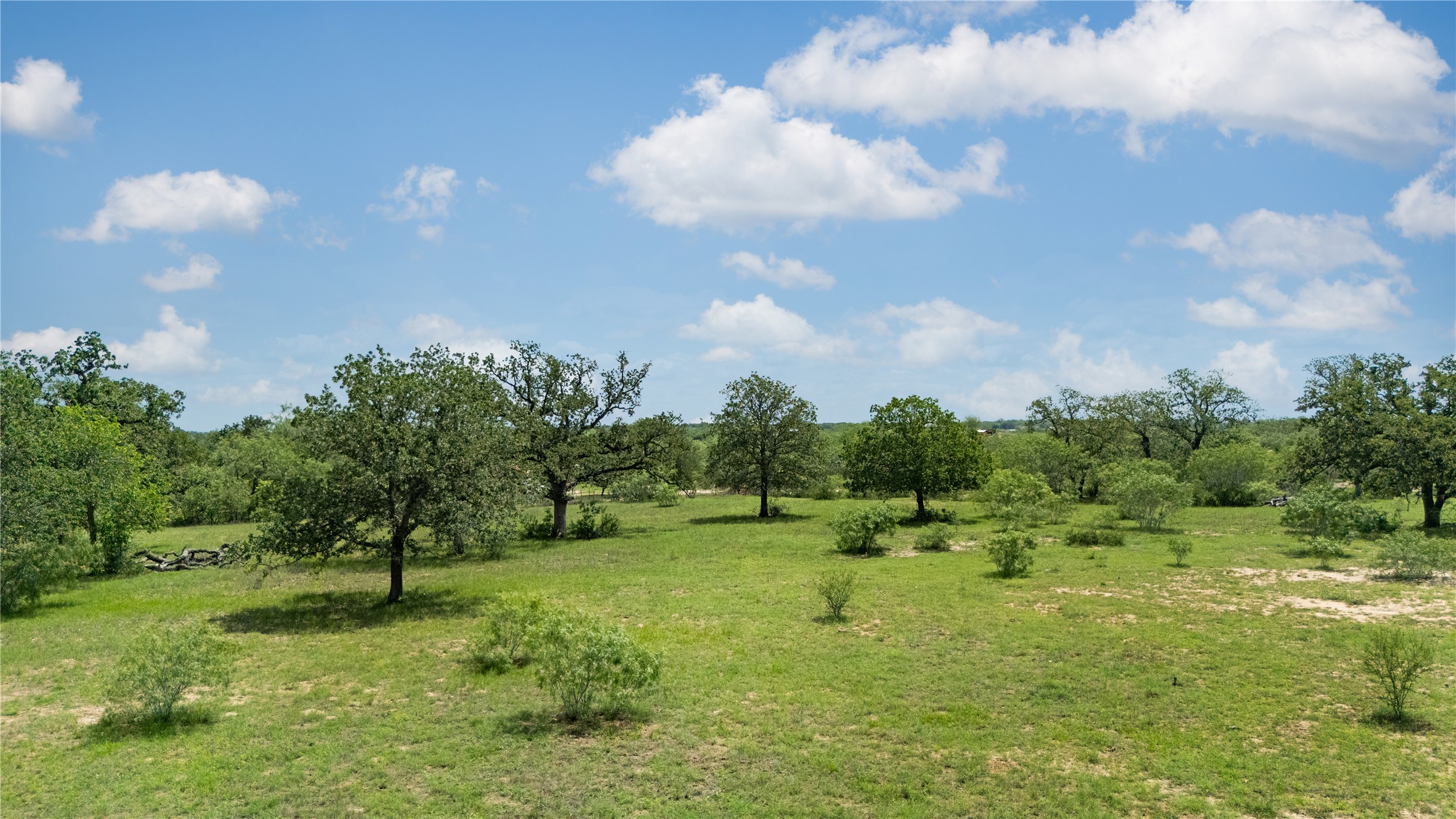 2612 Roosevelt Road Kingsbury, TX 78638 - Photo 19 of 31 Expansive green landscape featuring mature trees and scattered shrubbery under a clear sky