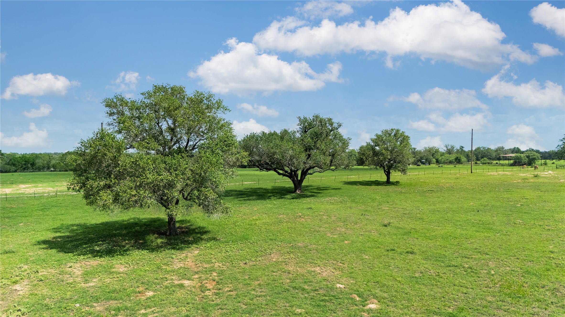 2612 Roosevelt Road Kingsbury, TX 78638 - Photo 2 of 31 Expansive green field featuring multiple mature trees under a clear sky