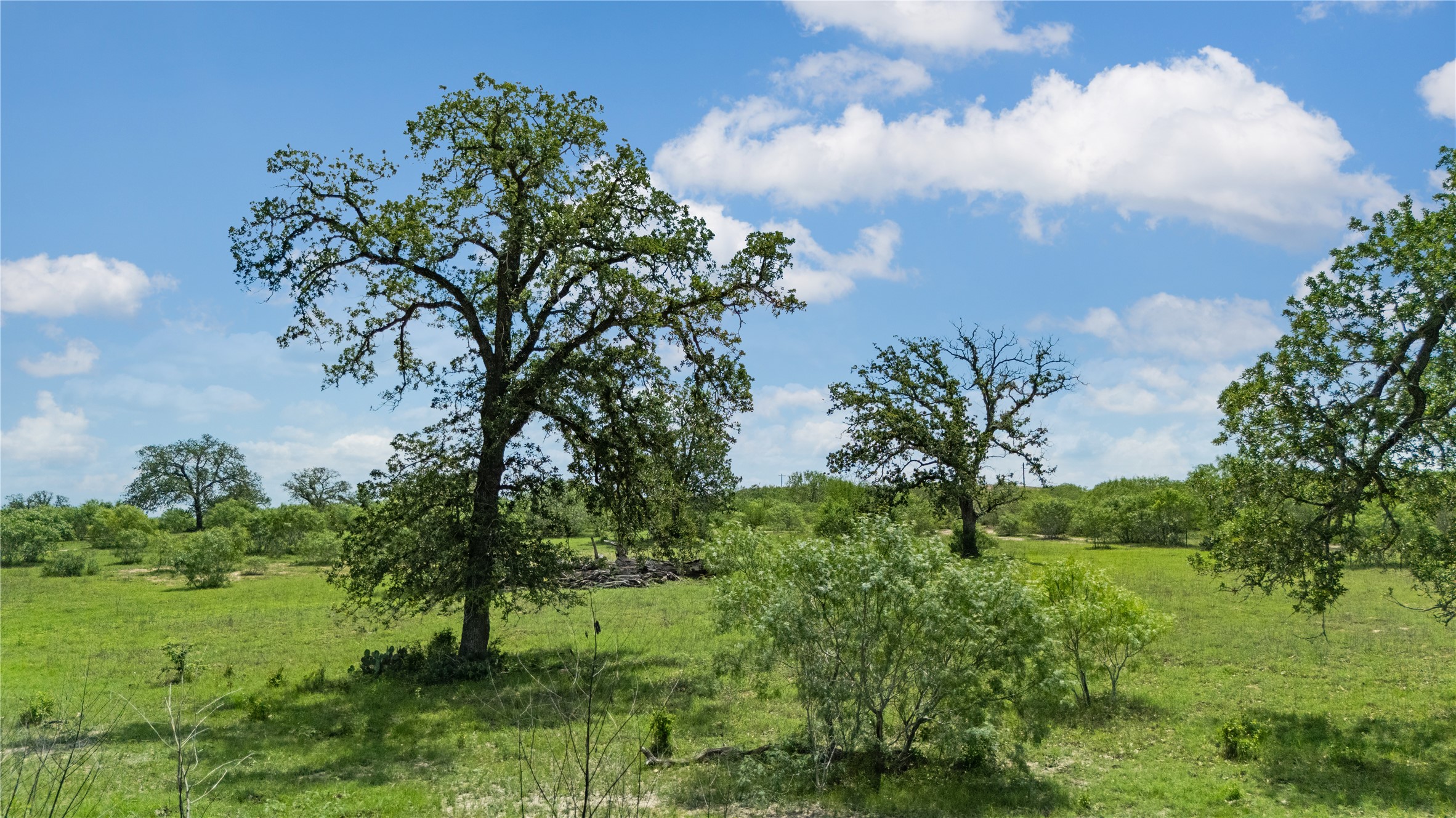 2612 Roosevelt Road Kingsbury, TX 78638 - Photo 21 of 31 Expansive green landscape featuring mature trees and scattered brush