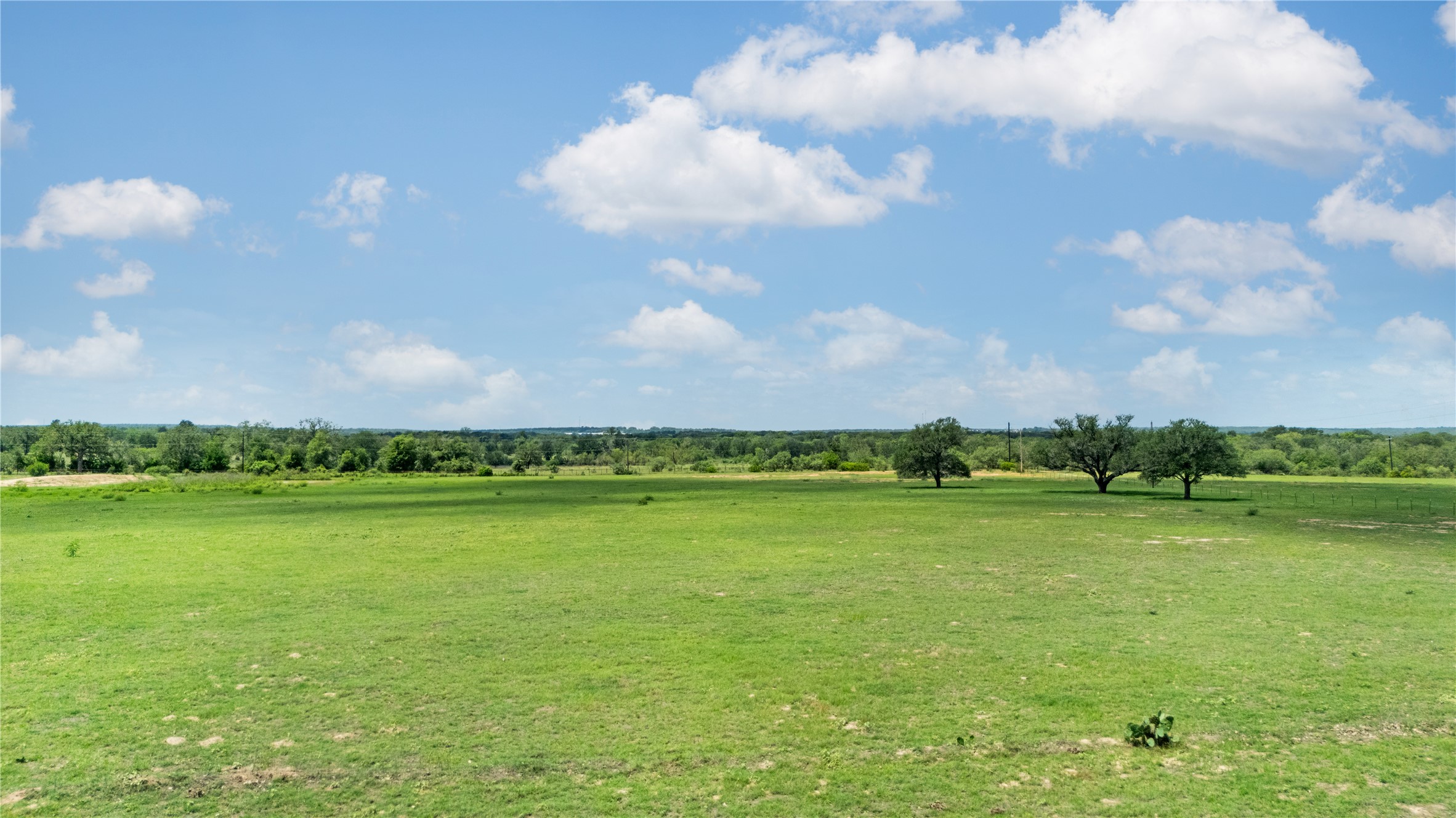 2612 Roosevelt Road Kingsbury, TX 78638 - Photo 22 of 31 Expansive green acreage with scattered mature trees and a distant tree line
