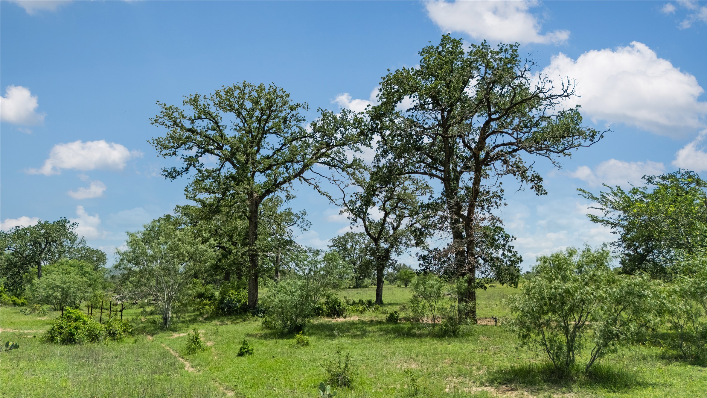 2612 Roosevelt Road Kingsbury, TX 78638 - Photo 23 of 31 Expansive natural landscape featuring mature deciduous trees and varied green foliage