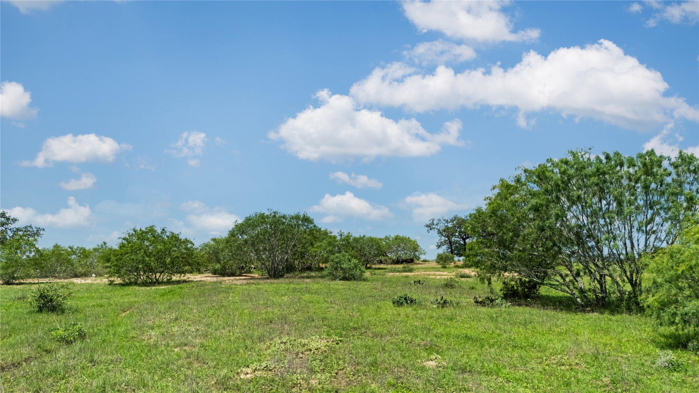 2612 Roosevelt Road Kingsbury, TX 78638 - Photo 24 of 31 Expansive property featuring varied green foliage and a clear sky with scattered clouds
