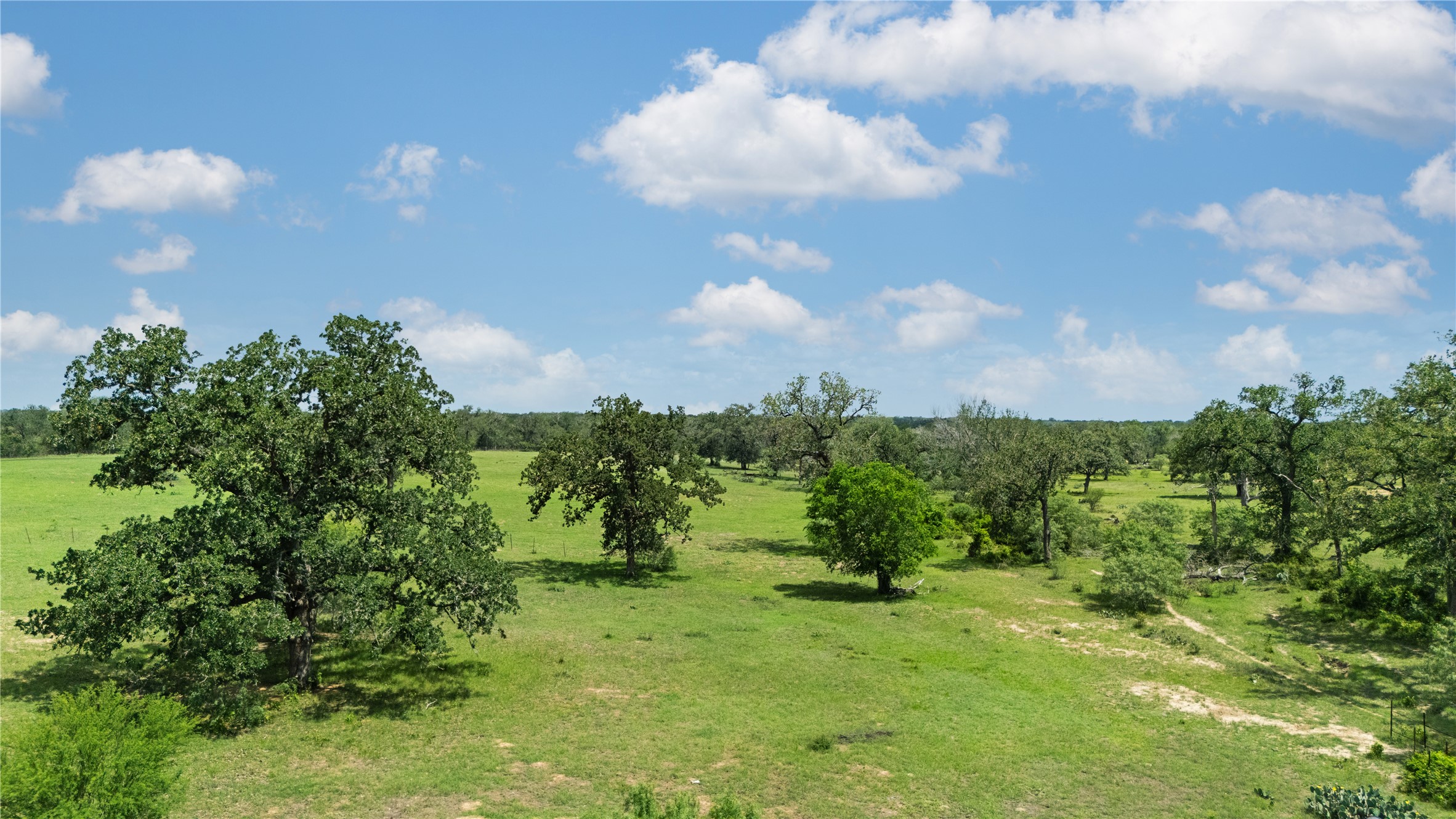 2612 Roosevelt Road Kingsbury, TX 78638 - Photo 25 of 31 Expansive green landscape with numerous mature trees under a clear blue sky with scattered clouds