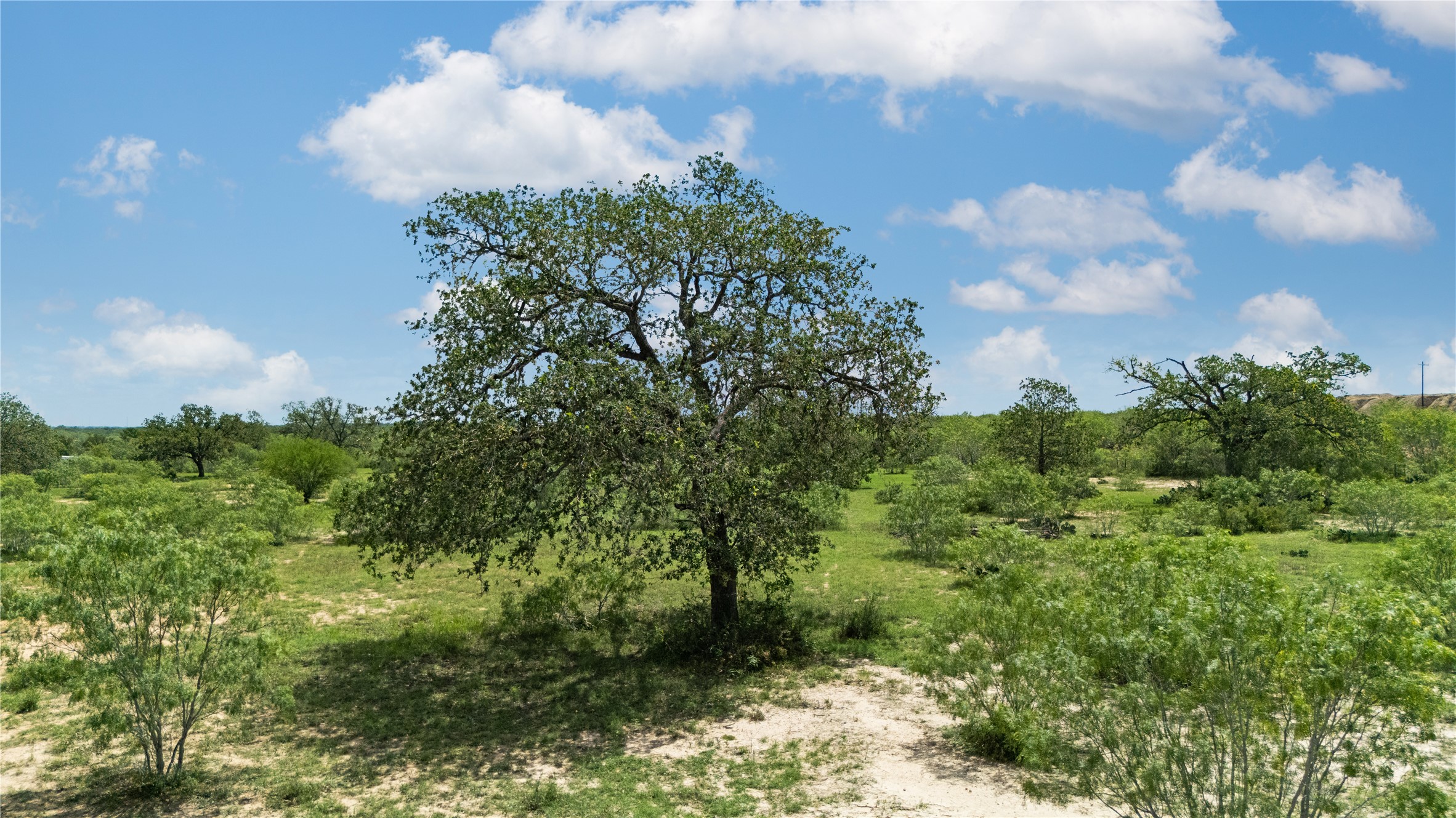 2612 Roosevelt Road Kingsbury, TX 78638 - Photo 26 of 31 Expansive natural landscape with mature trees and varied green foliage under a clear blue sky with scattered clouds