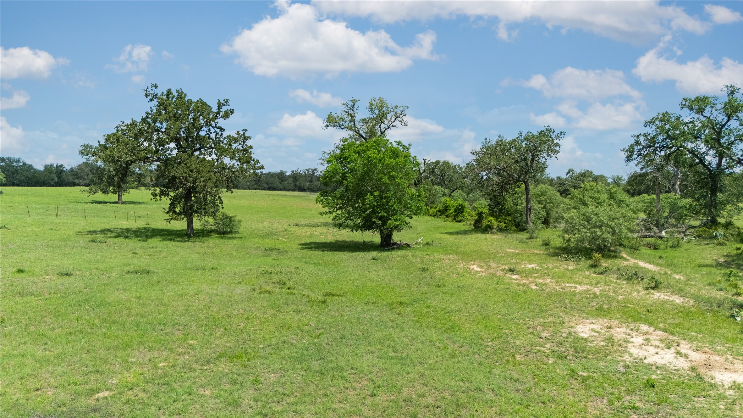 2612 Roosevelt Road Kingsbury, TX 78638 - Photo 29 of 31 Expansive green pasture with several mature trees and varied foliage