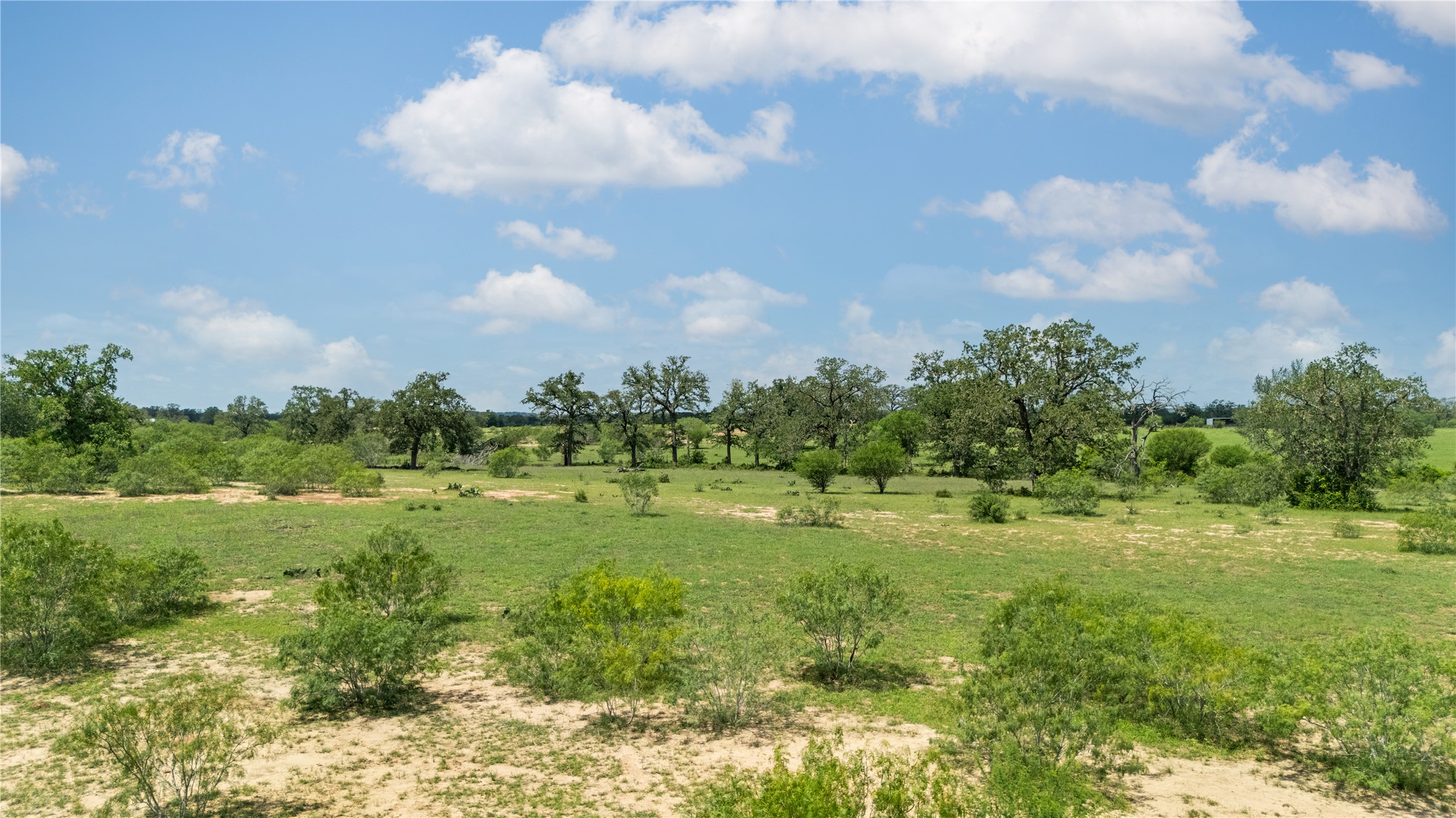 2612 Roosevelt Road Kingsbury, TX 78638 - Photo 30 of 31 Expansive undeveloped land featuring mature trees and open clearings