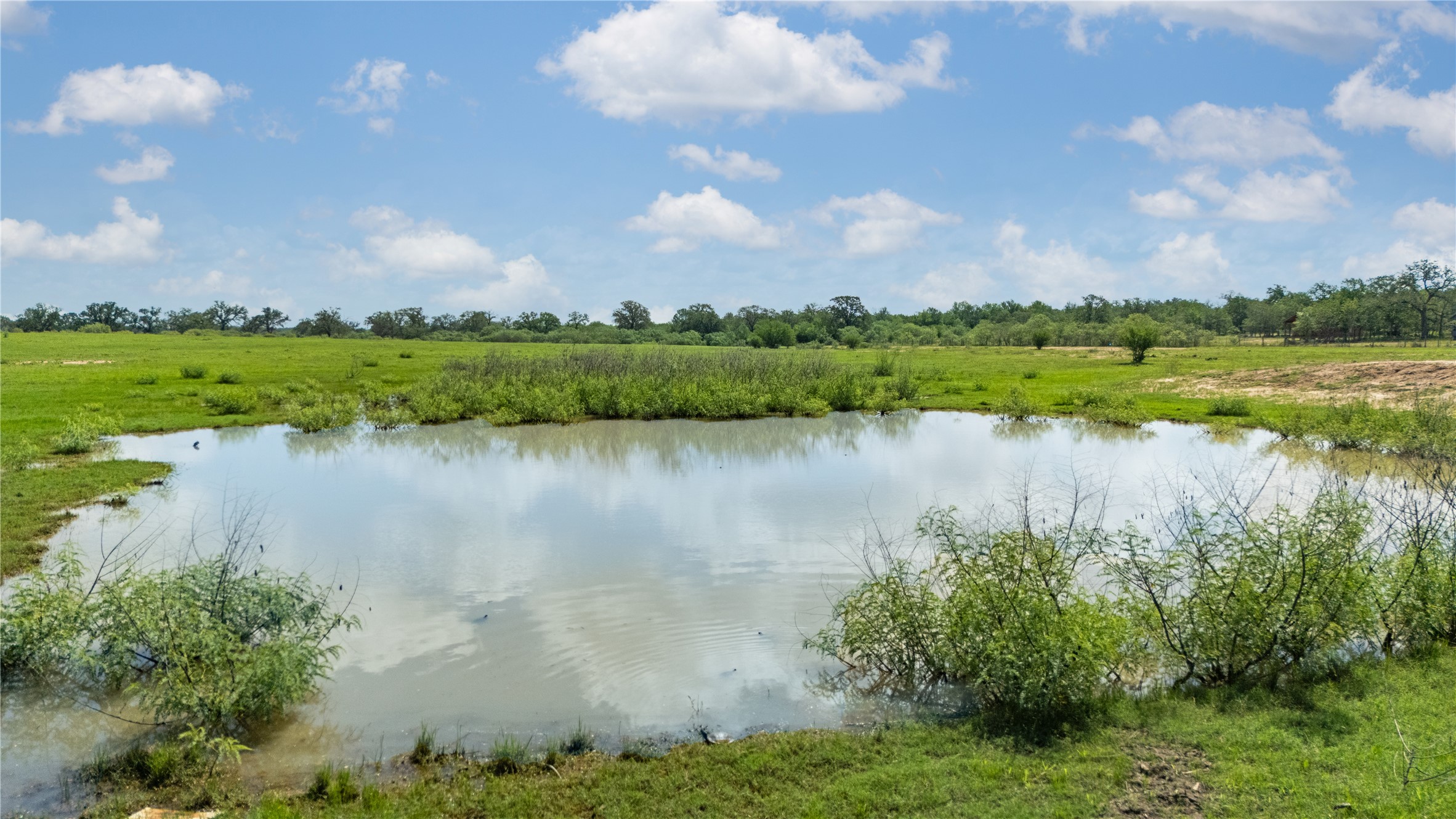 2612 Roosevelt Road Kingsbury, TX 78638 - Photo 3 of 31 Natural pond surrounded by extensive green pasture