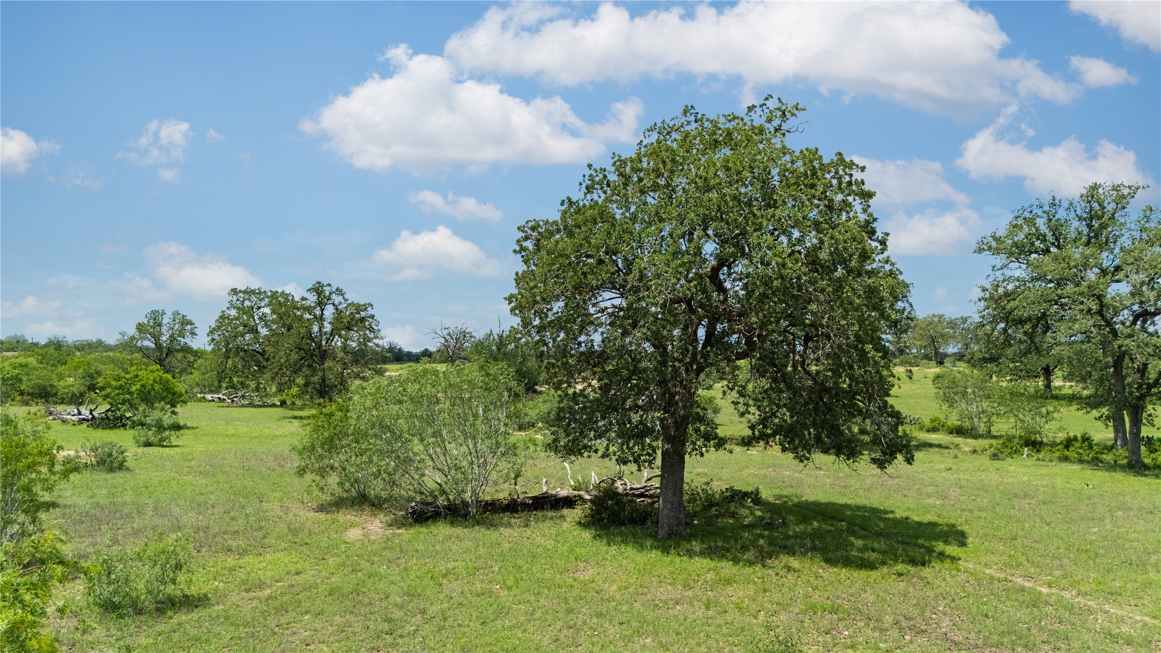 2612 Roosevelt Road Kingsbury, TX 78638 - Photo 31 of 31 Expansive green pasture with scattered mature trees and varied foliage under a bright sky