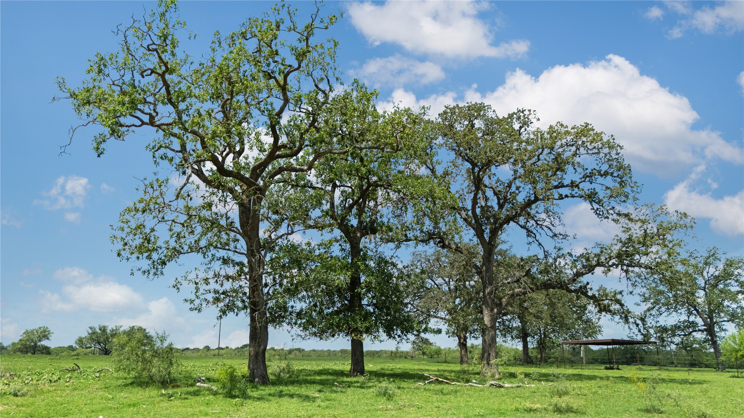 2612 Roosevelt Road Kingsbury, TX 78638 - Photo 4 of 31 Expansive green pasture with several mature trees, featuring a clear sky with scattered clouds