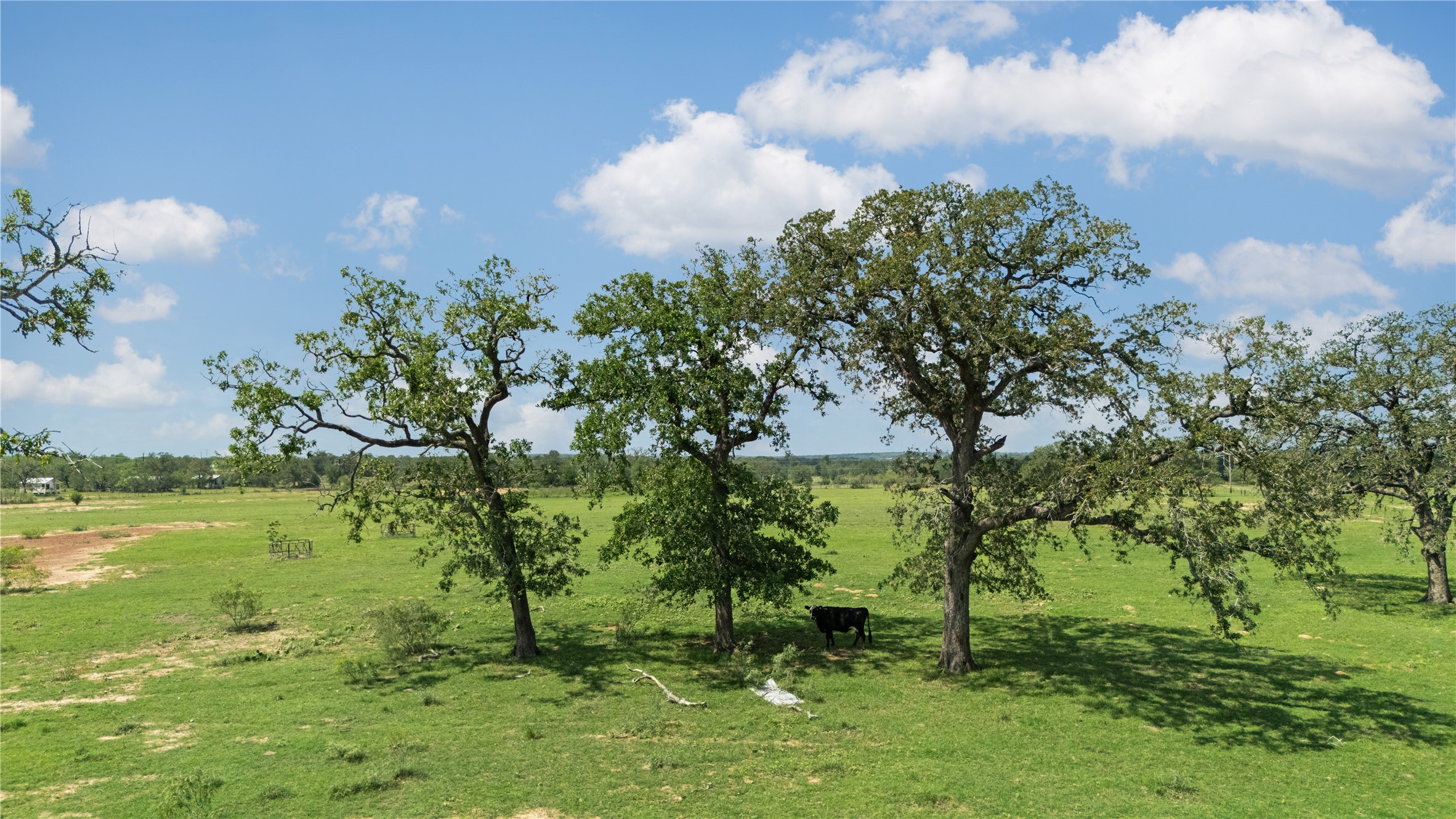 2612 Roosevelt Road Kingsbury, TX 78638 - Photo 5 of 31 Expansive green pastureland with multiple mature trees providing natural shade