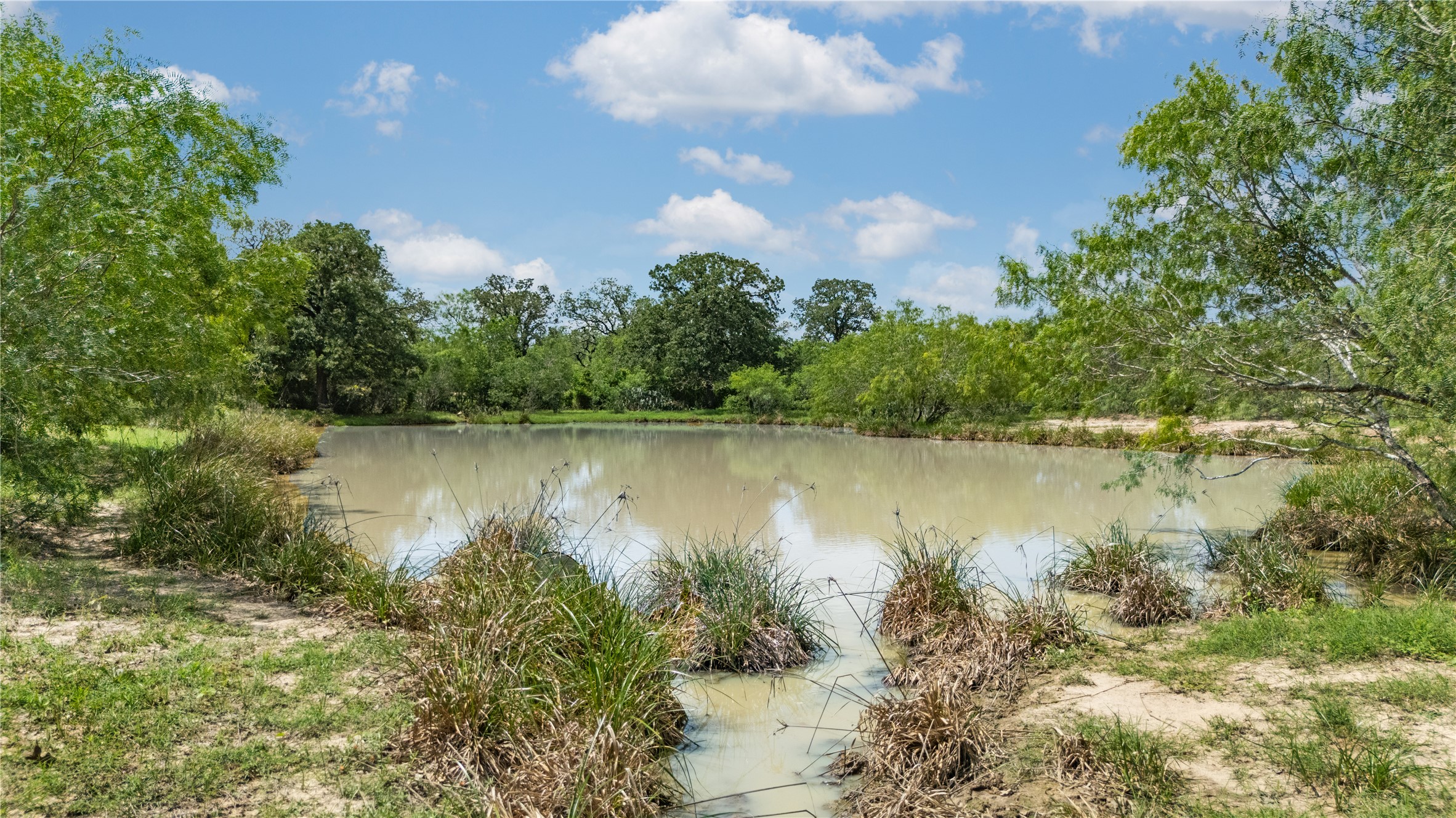2612 Roosevelt Road Kingsbury, TX 78638 - Photo 6 of 31 Pond with surrounding foliage and natural vegetation