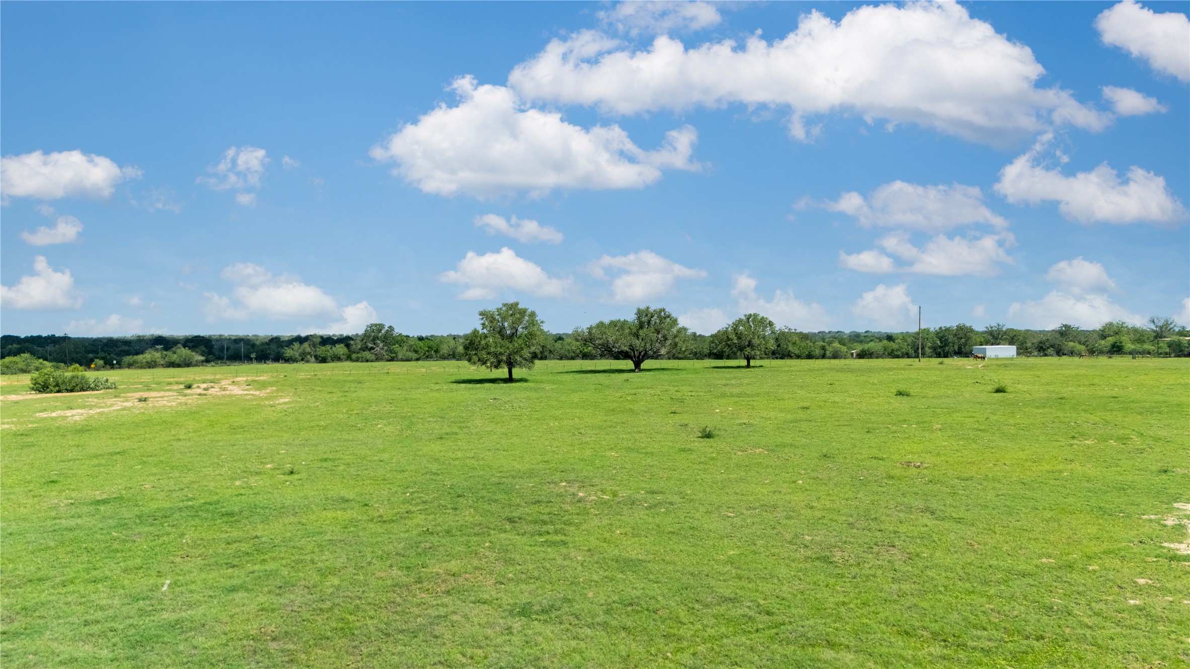 2612 Roosevelt Road Kingsbury, TX 78638 - Photo 8 of 31 Expansive green field with scattered mature trees and a distant white structure