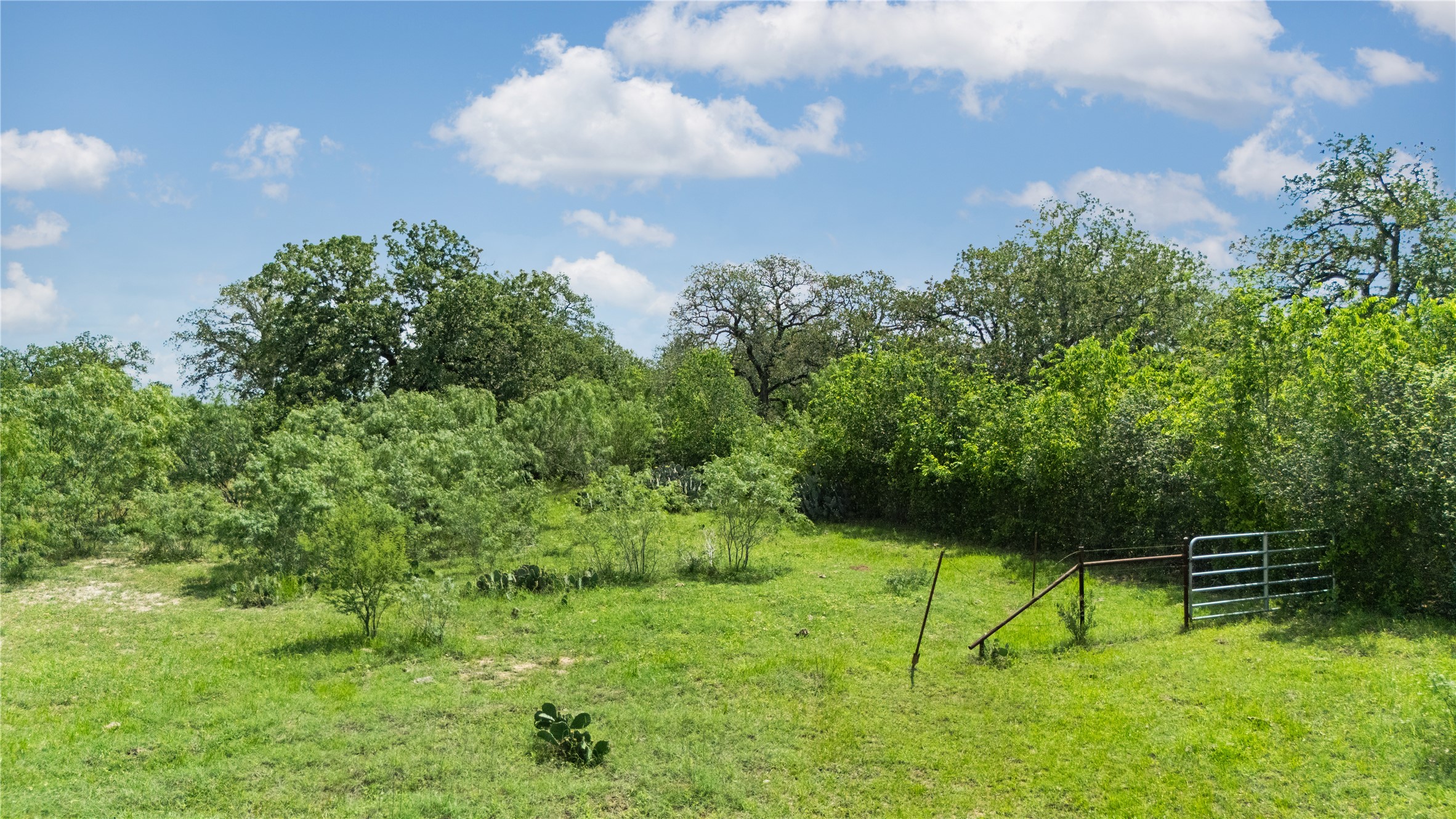 2612 Roosevelt Road Kingsbury, TX 78638 - Photo 9 of 31 Expansive grassy terrain with varied foliage and a metal gate
