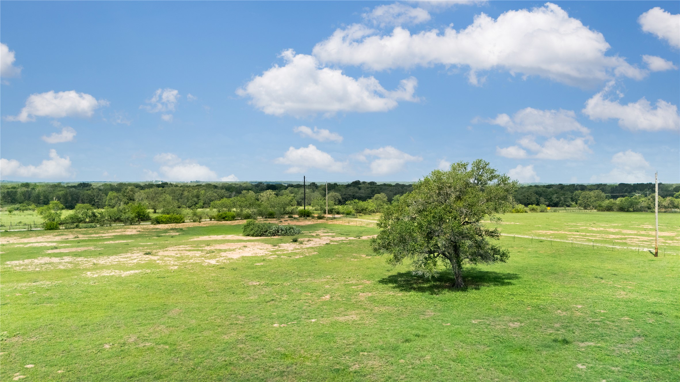2612 Roosevelt Road Kingsbury, TX 78638 - Photo 10 of 31 Expansive grassy field featuring a mature tree, natural foliage, and a clear blue sky with scattered clouds
