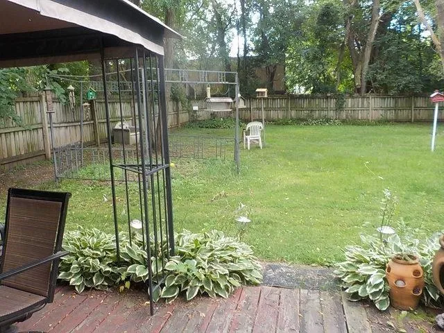 a view of a backyard