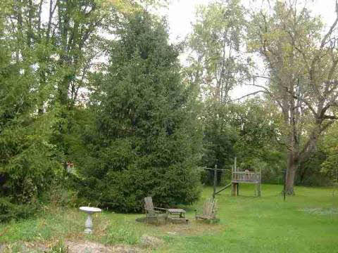 10734 Exeter Carleton, MI 48117 - Photo 3 of 15 670649-2.JPG