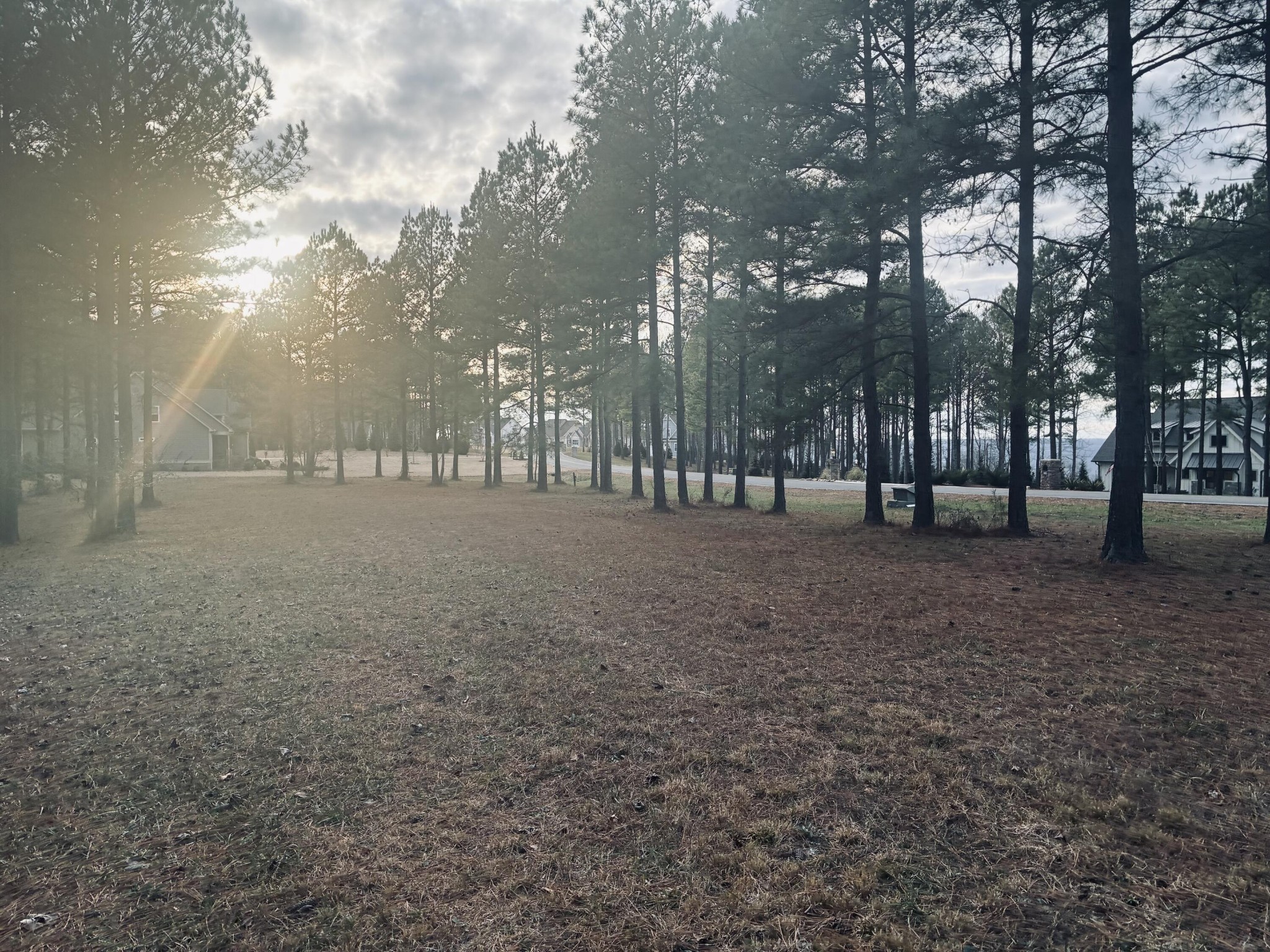 a view of outdoor space with trees