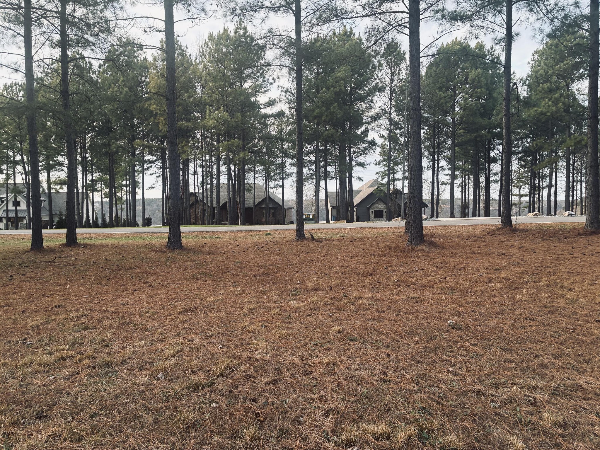 820 Cumberland Circle Jasper, TN 37347 - Photo 12 of 55