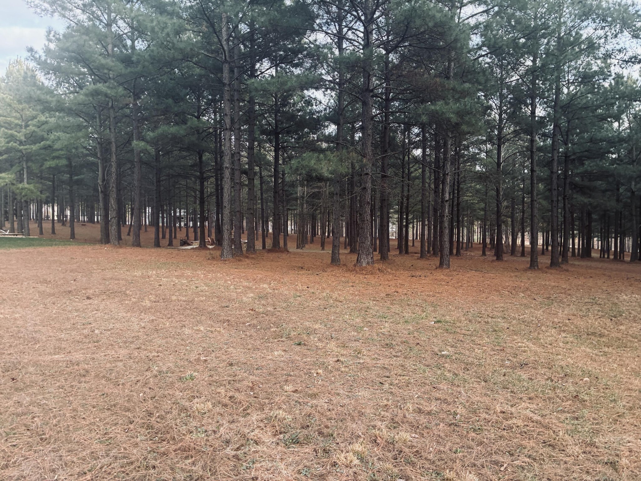 820 Cumberland Circle Jasper, TN 37347 - Photo 14 of 55