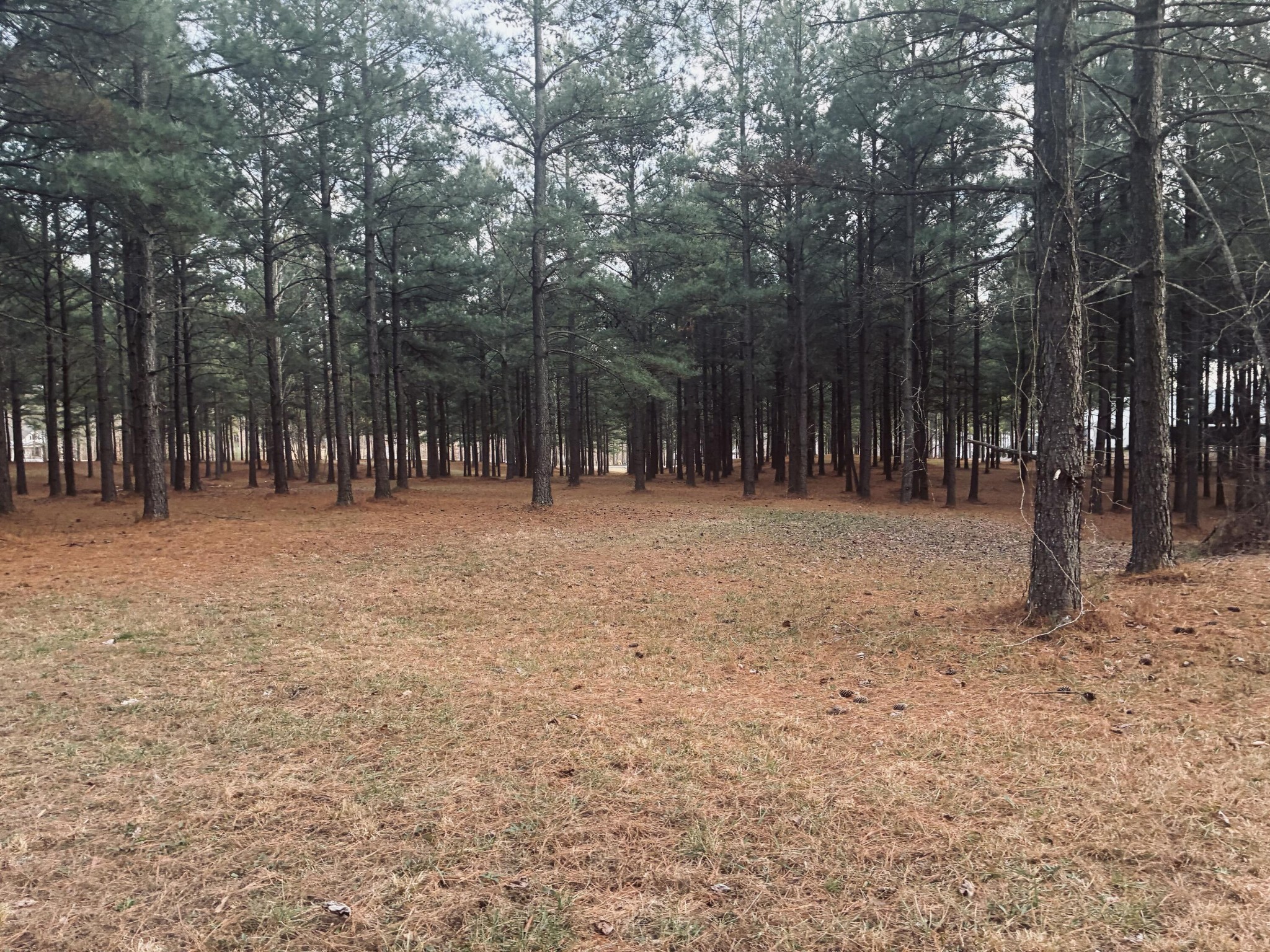 820 Cumberland Circle Jasper, TN 37347 - Photo 15 of 55