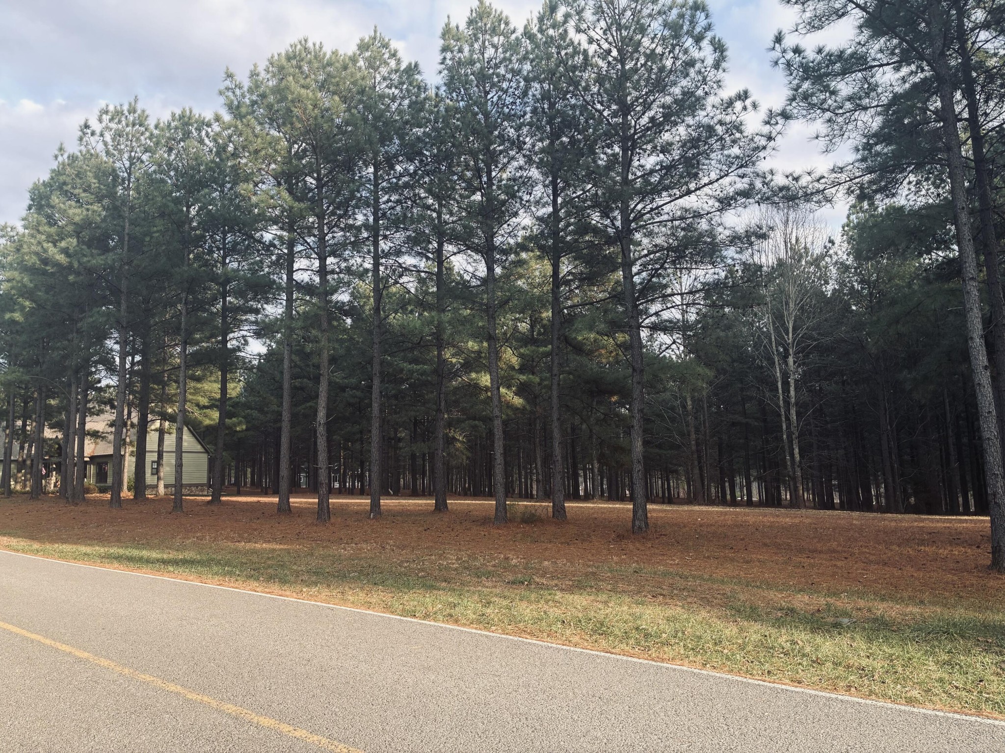 820 Cumberland Circle Jasper, TN 37347 - Photo 4 of 55 a view of street with trees