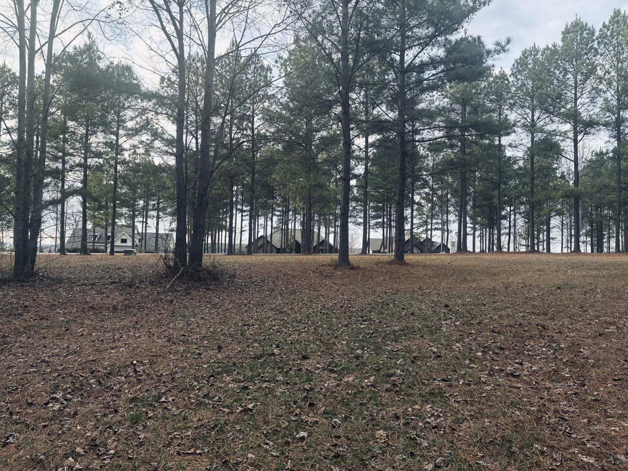 820 Cumberland Circle Jasper, TN 37347 - Photo 5 of 55 a view of outdoor space with tree s