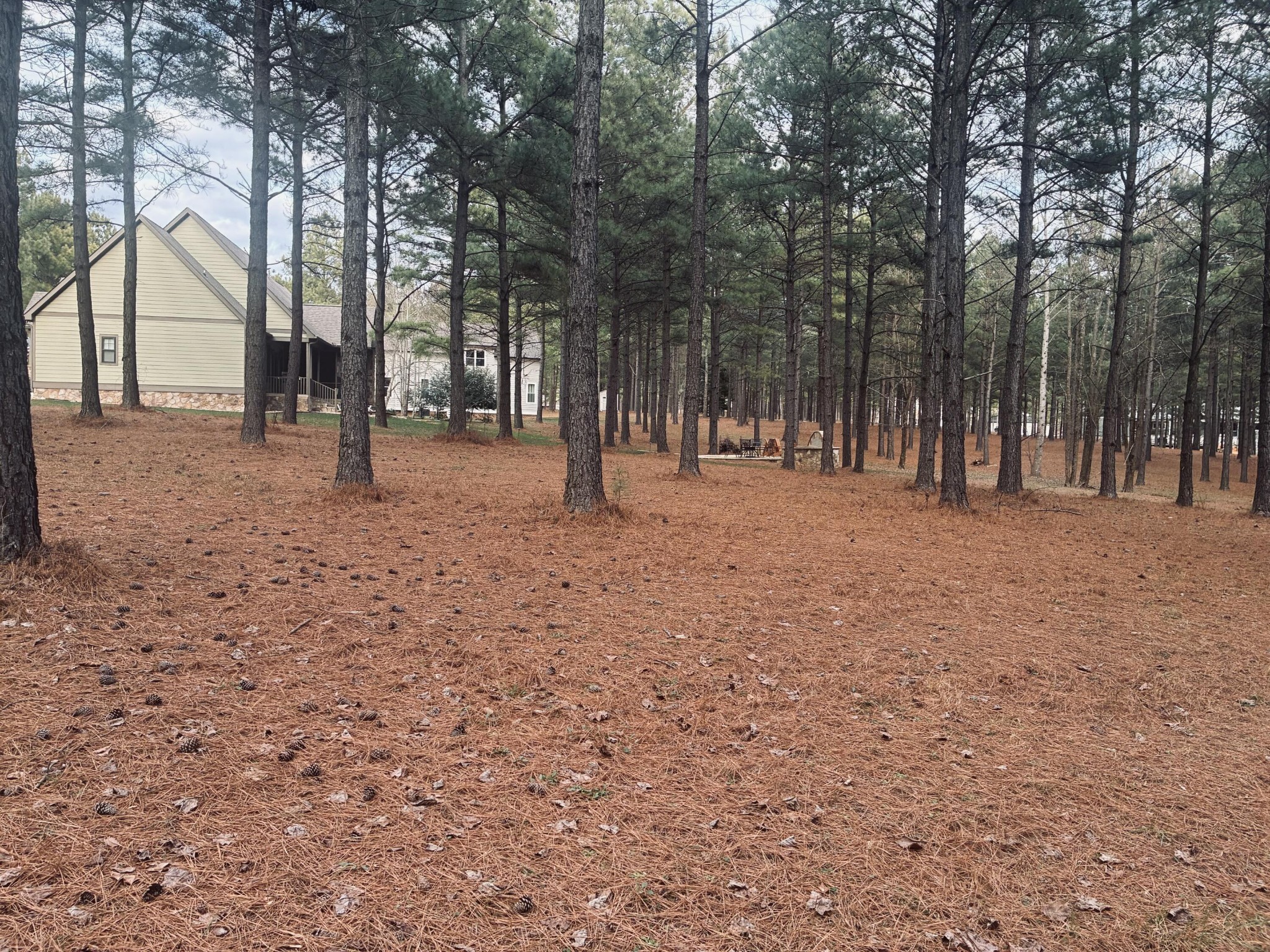 820 Cumberland Circle Jasper, TN 37347 - Photo 7 of 55