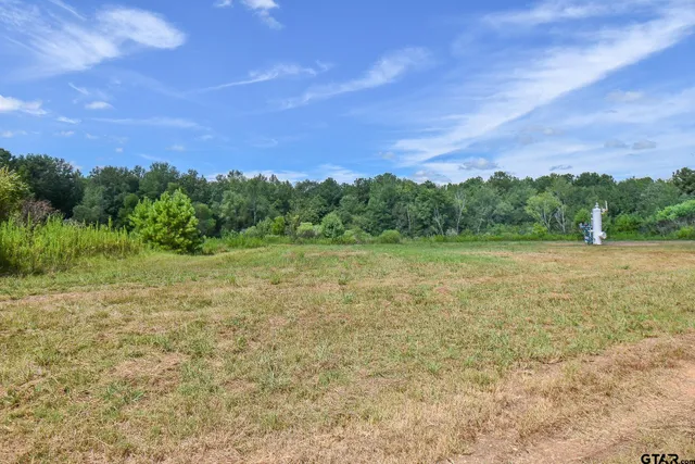 $20,000 | Tbd Godfrey Lane, Longview, TX 75603