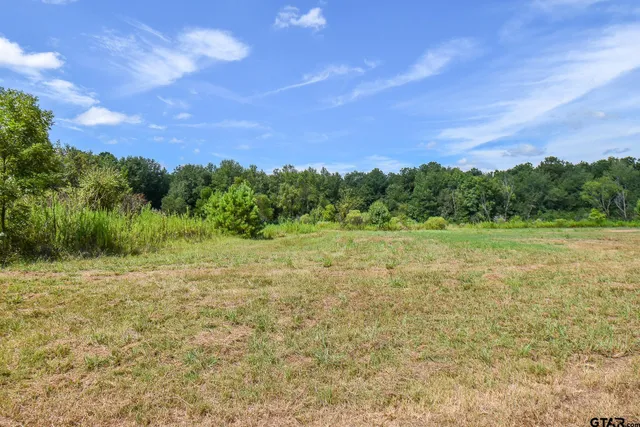 $20,000 | Tbd Godfrey Lane, Longview, TX 75603