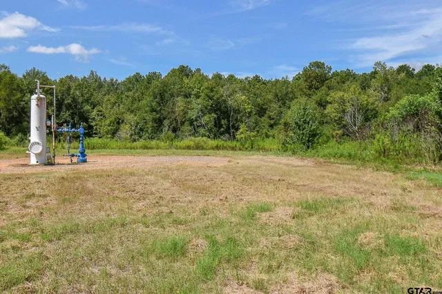 $20,000 | Tbd Godfrey Lane, Longview, TX 75603