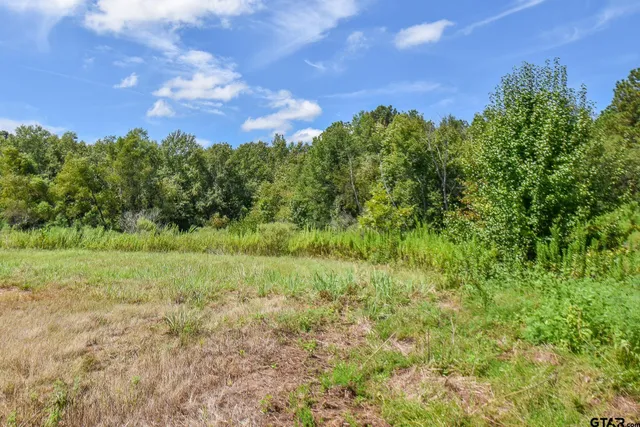 $20,000 | Tbd Godfrey Lane, Longview, TX 75603