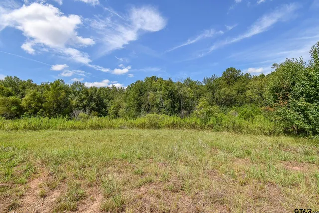 $20,000 | Tbd Godfrey Lane, Longview, TX 75603