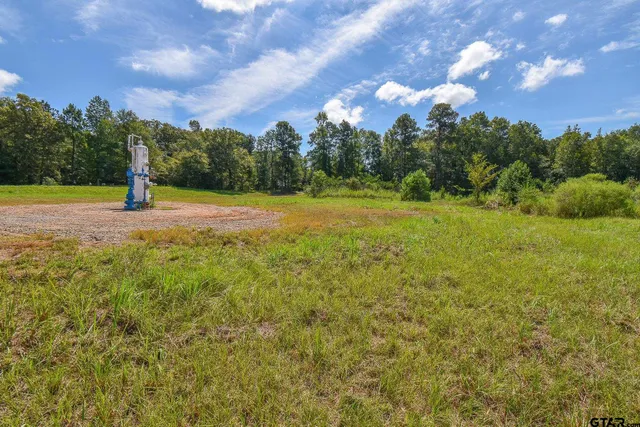 $20,000 | Tbd Godfrey Lane, Longview, TX 75603