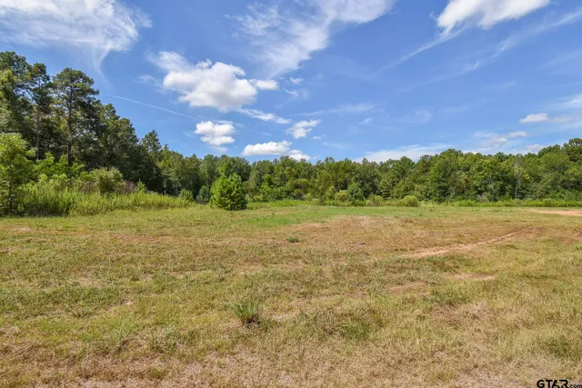 $20,000 | Tbd Godfrey Lane, Longview, TX 75603