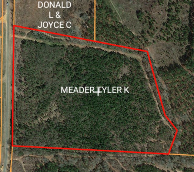 655 County Road 115 Abbeville, AL 36310 - Photo 1 of 1