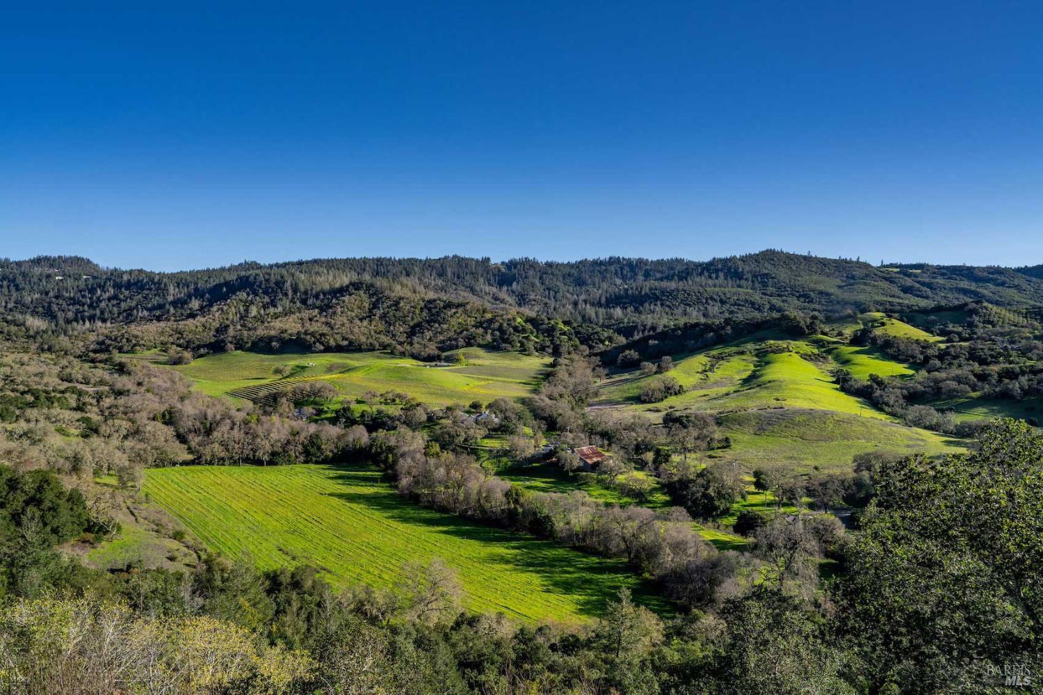 750 Conn Valley Road St. Helena, CA 94574 - Photo 2 of 33