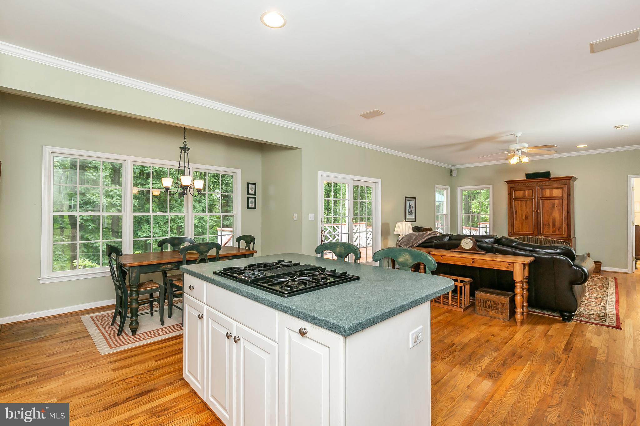 1090 High Country Road Towson, MD 21286 - Photo 15 of 54
