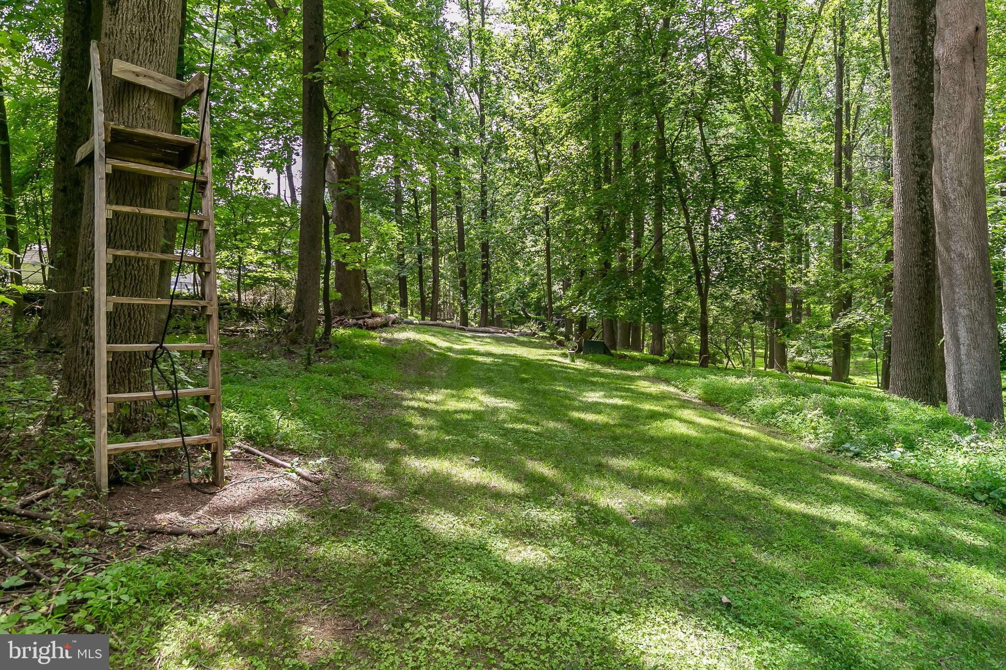 1090 High Country Road Towson, MD 21286 - Photo 48 of 54