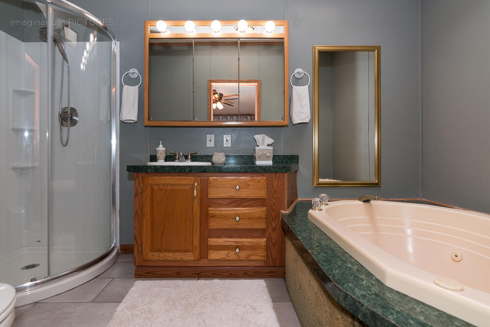 519 Greenbriar Terrace Decatur, MI 49045 - Photo 24 of 37 Primary Bath