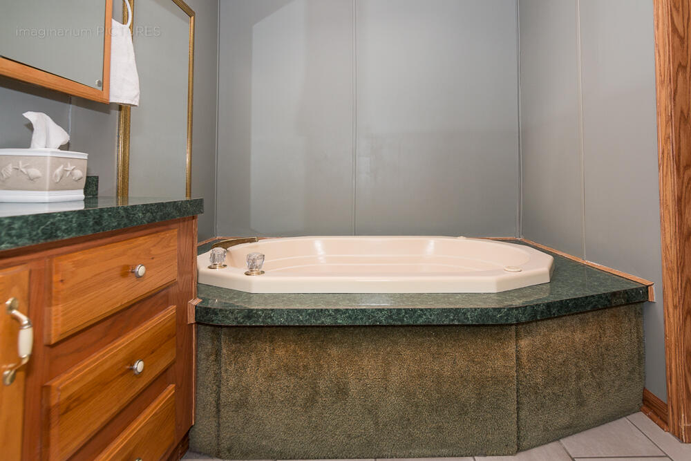 519 Greenbriar Terrace Decatur, MI 49045 - Photo 27 of 37 Primary Bath c