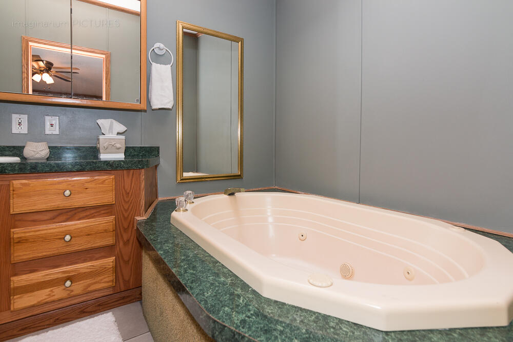 519 Greenbriar Terrace Decatur, MI 49045 - Photo 28 of 37 Primary Bath d