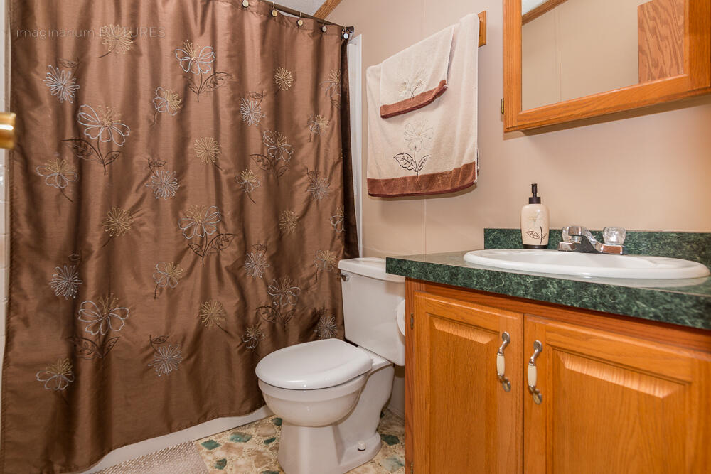 519 Greenbriar Terrace Decatur, MI 49045 - Photo 34 of 37 Bath