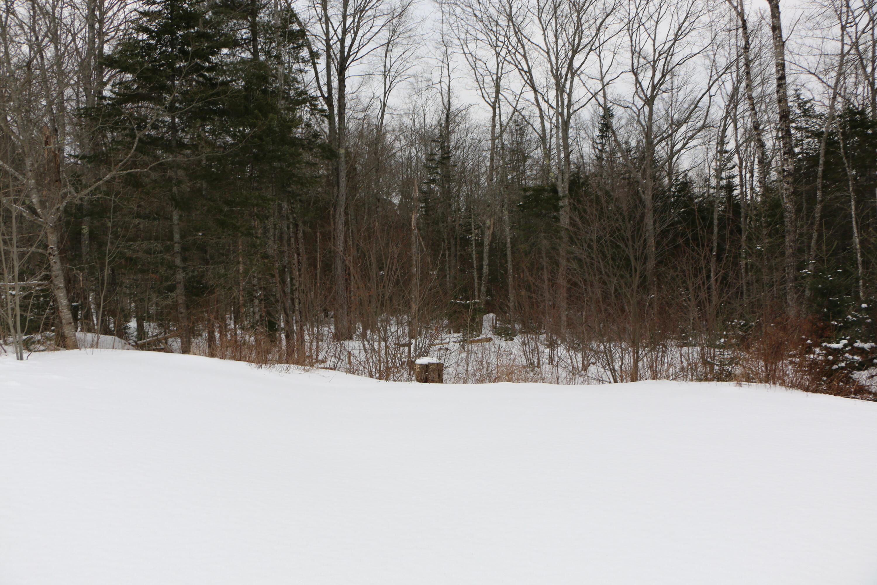 110 Great Pond Road Franklin, ME 04634 - Photo 29 of 37 IMG_4355