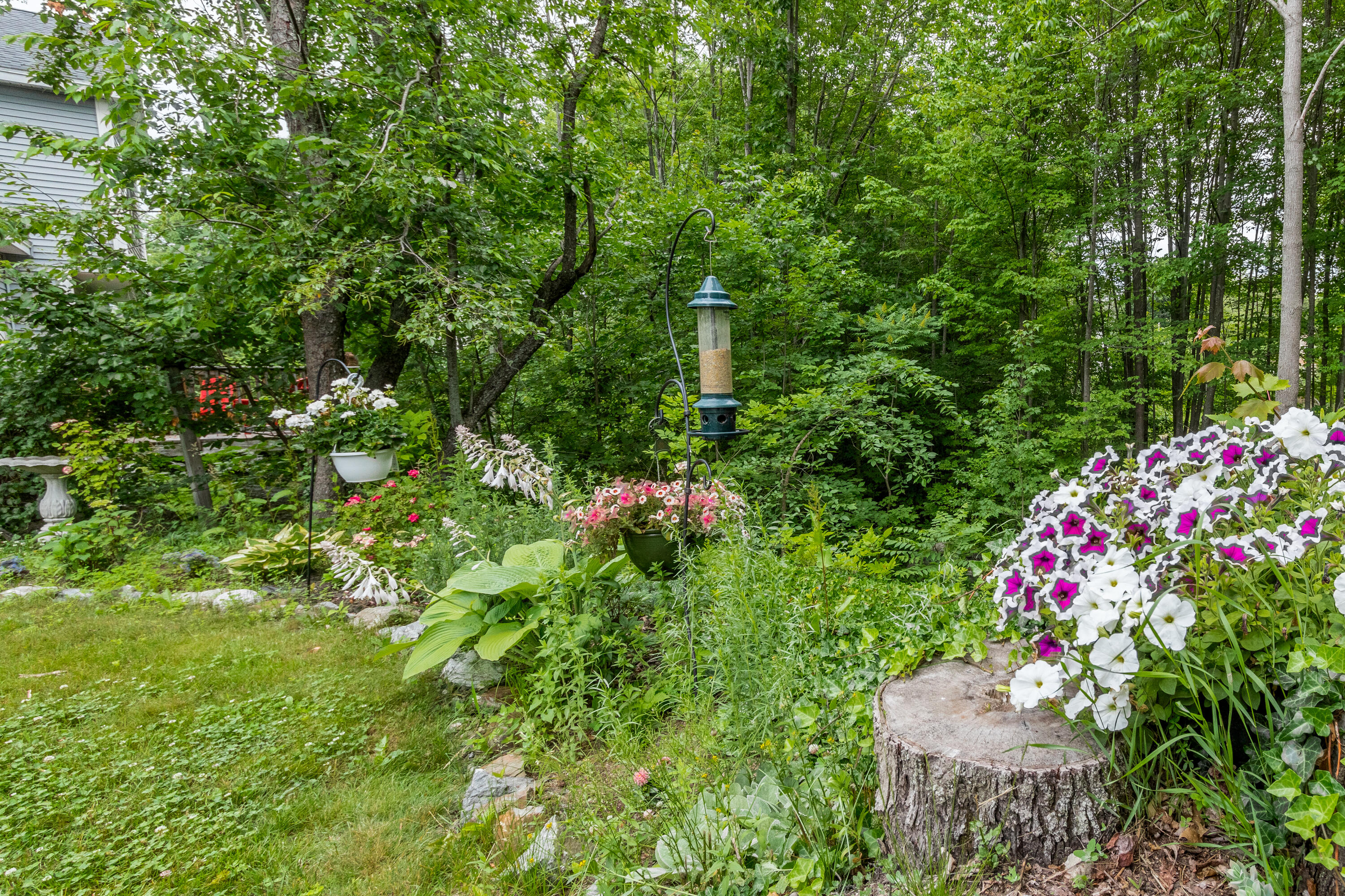 33 Ruby Lane Portland, ME 04103 - Photo 55 of 60 20210622rf-71096