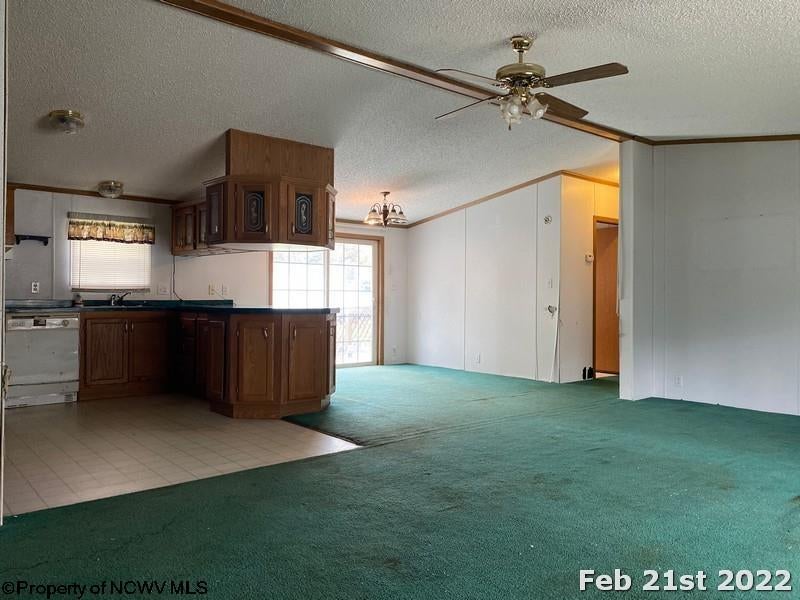 35 Punkin Center Road Fairview, WV 26570 - Photo 12 of 22 Gallery Image 12